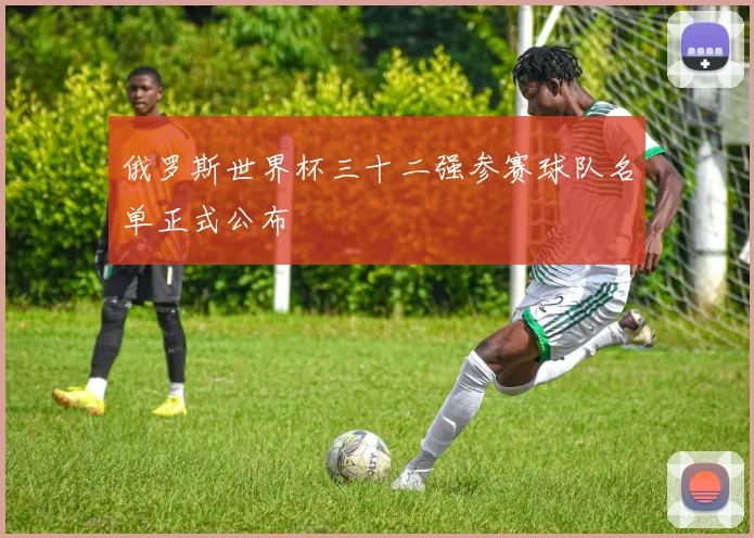 俄罗斯世界杯三十二强参赛球队名单正式公布